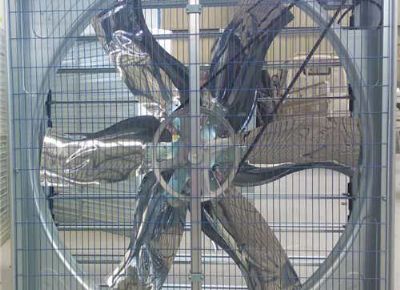 點擊查看詳細信息<br>標題：Push Pull Negative Pressure Fan 閱讀次數(shù)：1518